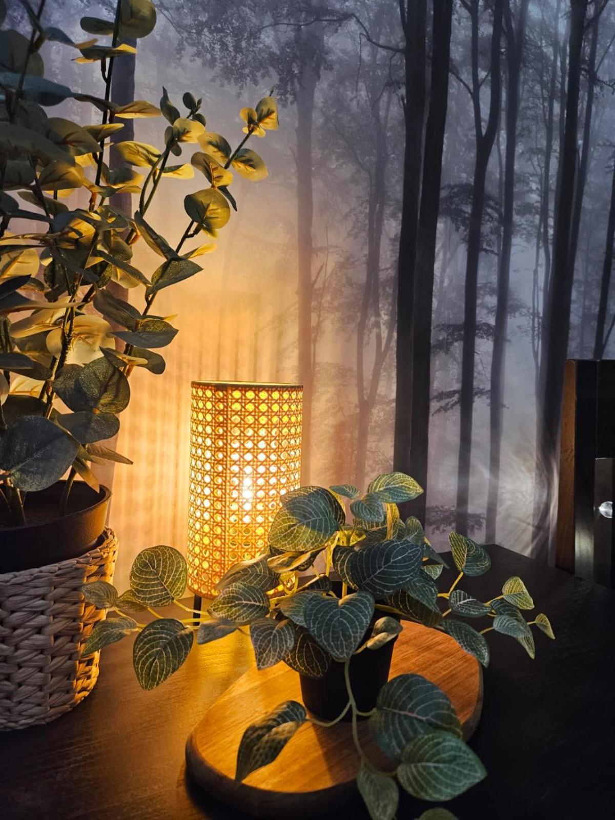 Cracovia Luxury Bright Apartment Great Location Sauna 외부 사진